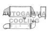 AUTOGAMMA 101508 Intercooler, charger